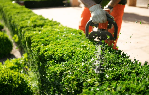 الحدائق والمسابح