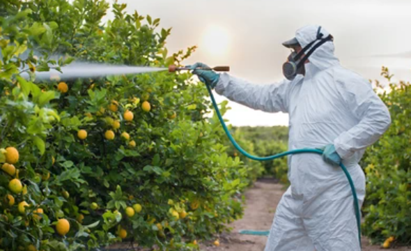 رش المبيدات ومكافحة الحشرات